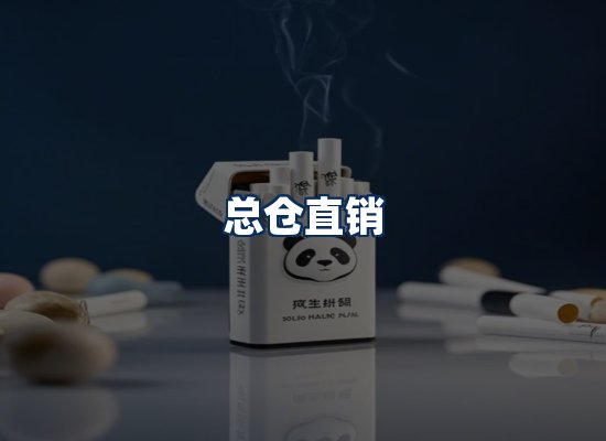 专业团队办公环境
